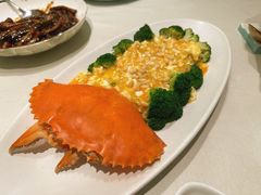 -蝶园·装修中(BFC外滩金融中心店)