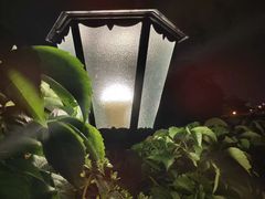 -Sirena海妖日咖夜酒