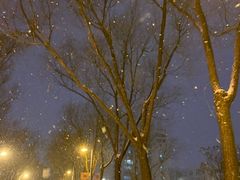 -吉林大学(前卫南区)