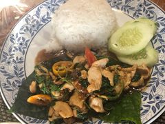 -卷心菜和避孕套餐厅(Pattaya)