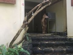 -卡塞拉自然公园