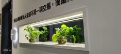 -馨美女性健康管理中心