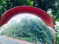 -火炉山森林公园