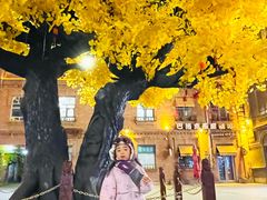 -中华巴洛克风情街