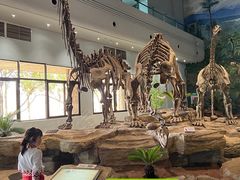 -自贡恐龙博物馆