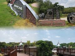 -大湾区中央湿地公园