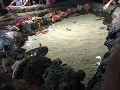 -康喜足疗·轻奢SPA综合馆(恺宸店)