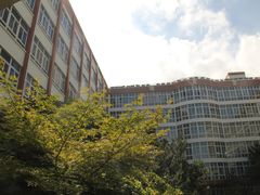 -上海市民办金苹果学校