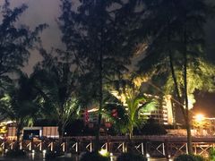 -万绿园