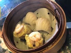 -憶廟街 X 沙角邨(太古城店)