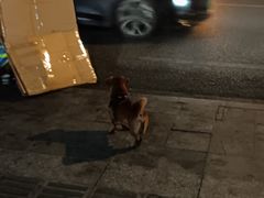 -瑞幸咖啡(梅花园地铁站店)