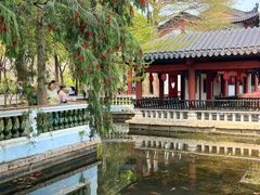 -广东花都湖国家湿地公园