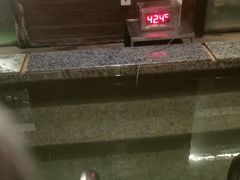 -裕龙汤泉