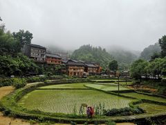 -农夫人家餐饮