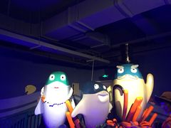 -北戴河圣蓝海洋公园