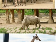 -杭州野生动物世界