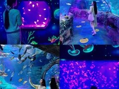 -沈阳海洋探索中心