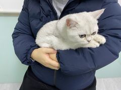 -达爱动物医院·犬猫分区·CT·复杂眼科(远洋山水分院)
