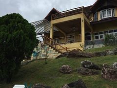 -黄色小屋