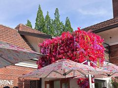 -弗兰克牛排西餐厅Ribone steak house(柠檬花园店)