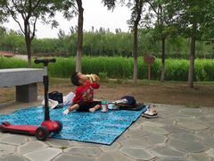 -大兴滨河森林公园