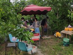 -大自然农场蔬菜草莓采摘园