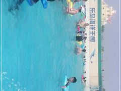 -秦皇岛乐岛海洋王国