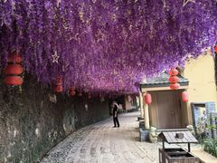 -观澜山水田园