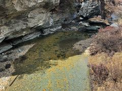 -稻城亚丁景区-冲古草甸