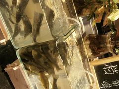 -东方广场假日酒店-蜀咖啡餐厅