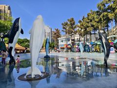 -海合安成都极地海洋公园