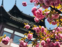 -苏州吴宫泛太平洋酒店