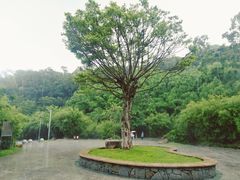 -火炉山森林公园