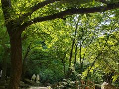 -京东石林峡风景区