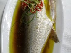 太湖野生白鱼-尚岛私房菜(西方巷店)