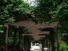 -白马涧龙池景区
