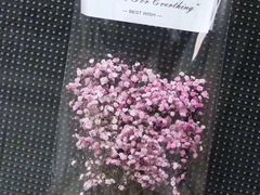 -二姐家三个拿手菜·北塘海鲜·大馅锅贴王(成林道店)