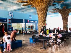 -芜湖新华联大白鲸海洋公园