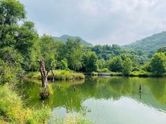 -玉渡山自然风景区