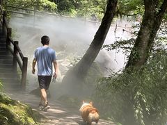 -西岭雪山大飞水景区