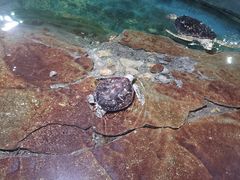 -北海·海洋之窗