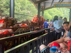 -将军关探险漂流