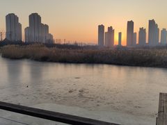 -前关湿地公园