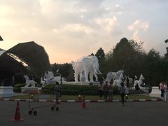 -清迈夜间动物园