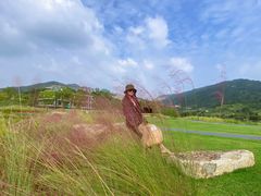 -碧桂园十里银滩