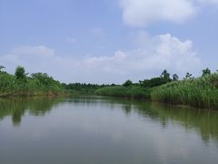 -洪湖生态旅游区