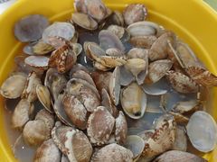 -老青岛海味当家菜馆(银鱼巷店)