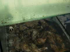 -雅逸居海鲜小厨