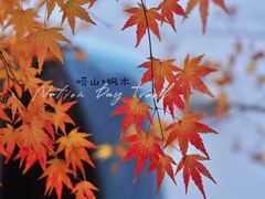 -崂山九水游览区