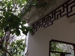 -赭山公园